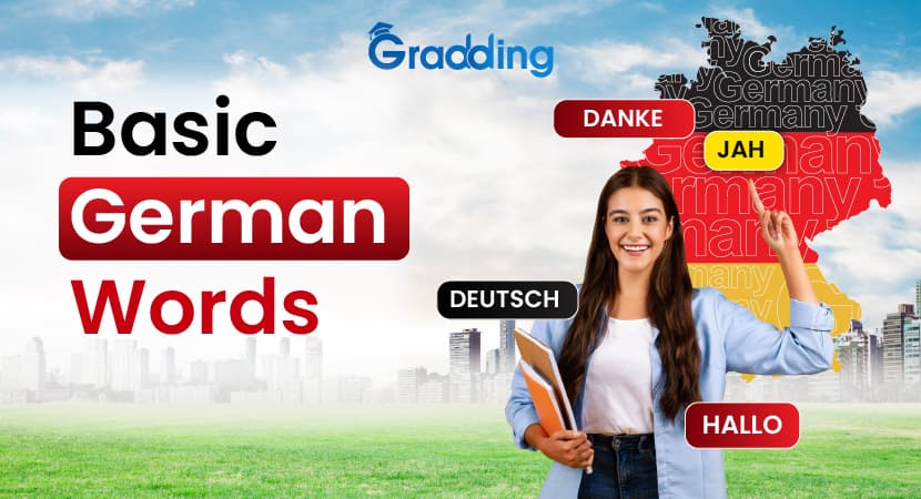 Learn the most basic German Words | Gradding.com