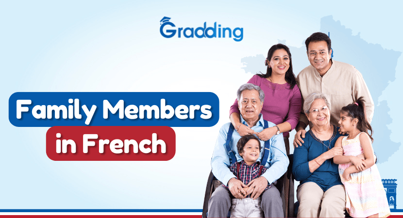 Discover different vocabulary words for family in French with Gradding.com