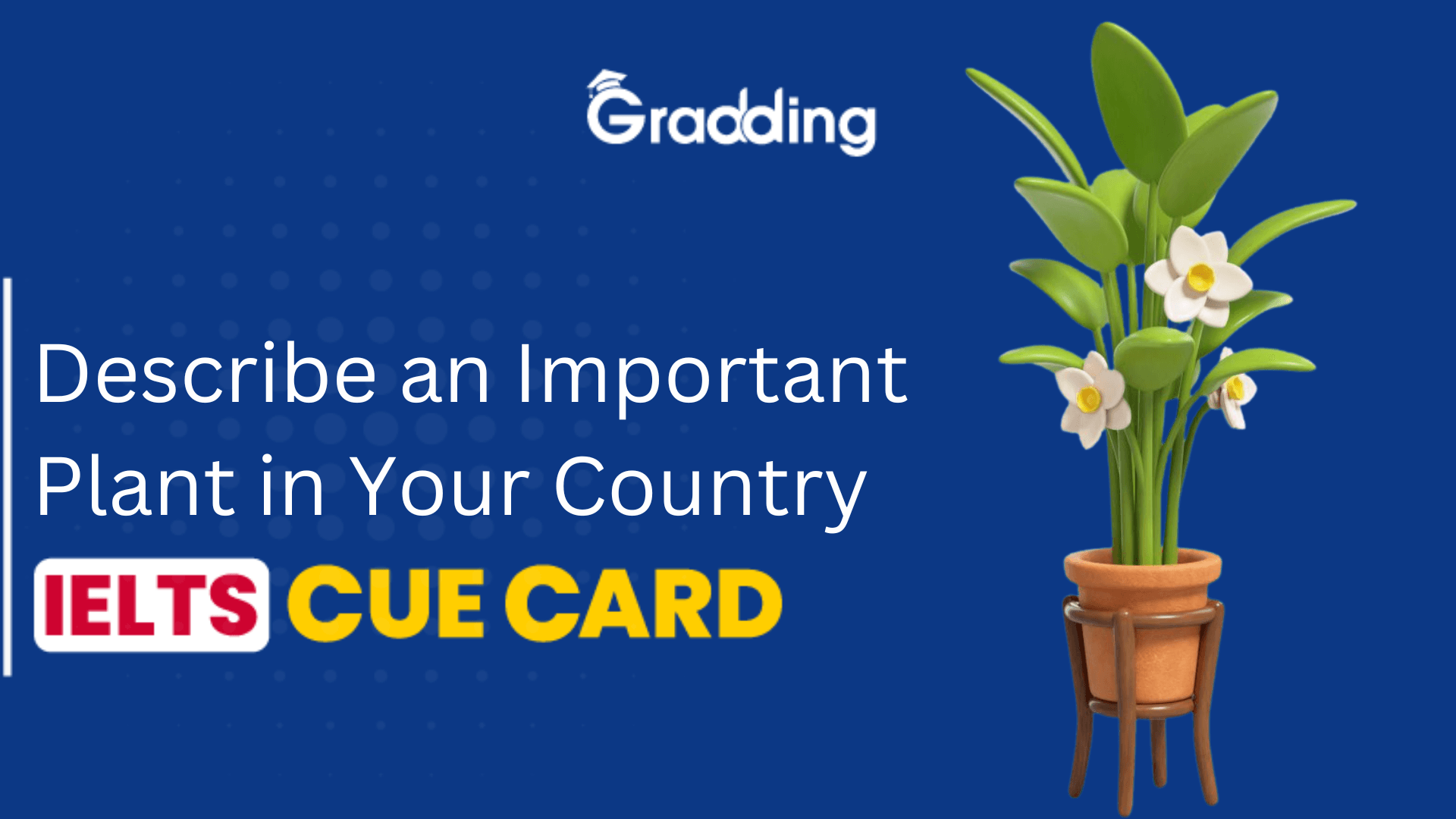 Solve describe an important plant in your country- ielts cue card Practice describe an important plant in your country- IELTS cue card, follow-up questions, lexical resources & tips | Gradding.com