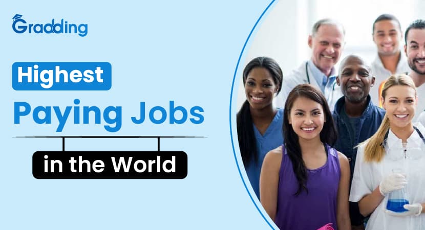 Highest Paying Jobs in the World Know About Highest Paying Jobs in the World