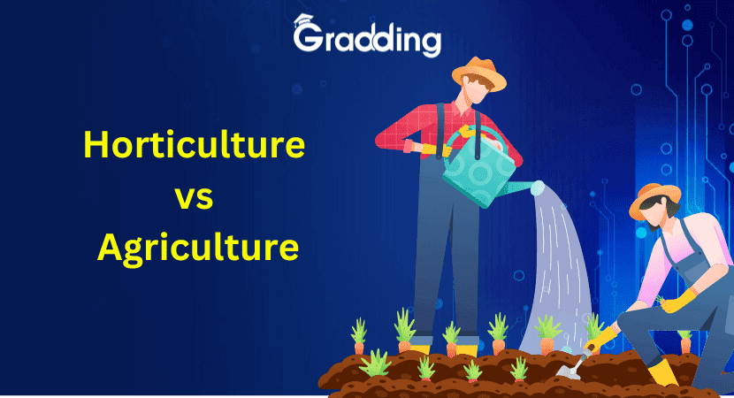 Horticulture Vs Agriculture Explore Horticulture Vs Agriculture: Know the difference between these two farming method| Gradding.com.