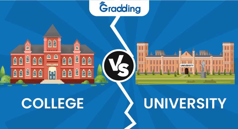 College Vs University Know the difference between college and university with experts at Gradding.com